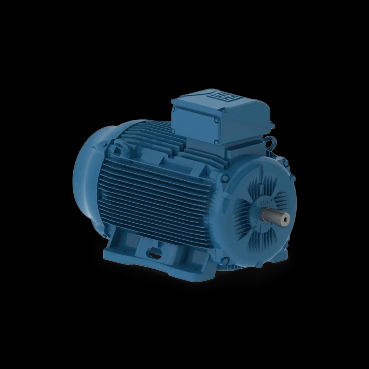 Motore trifase W22Xec con protezione Ex ec (Zona 2) ed Ex tc (Zona 22)