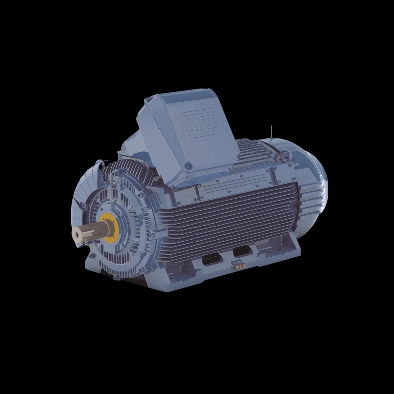 Motori W51 in ghisa per uso industriale generale