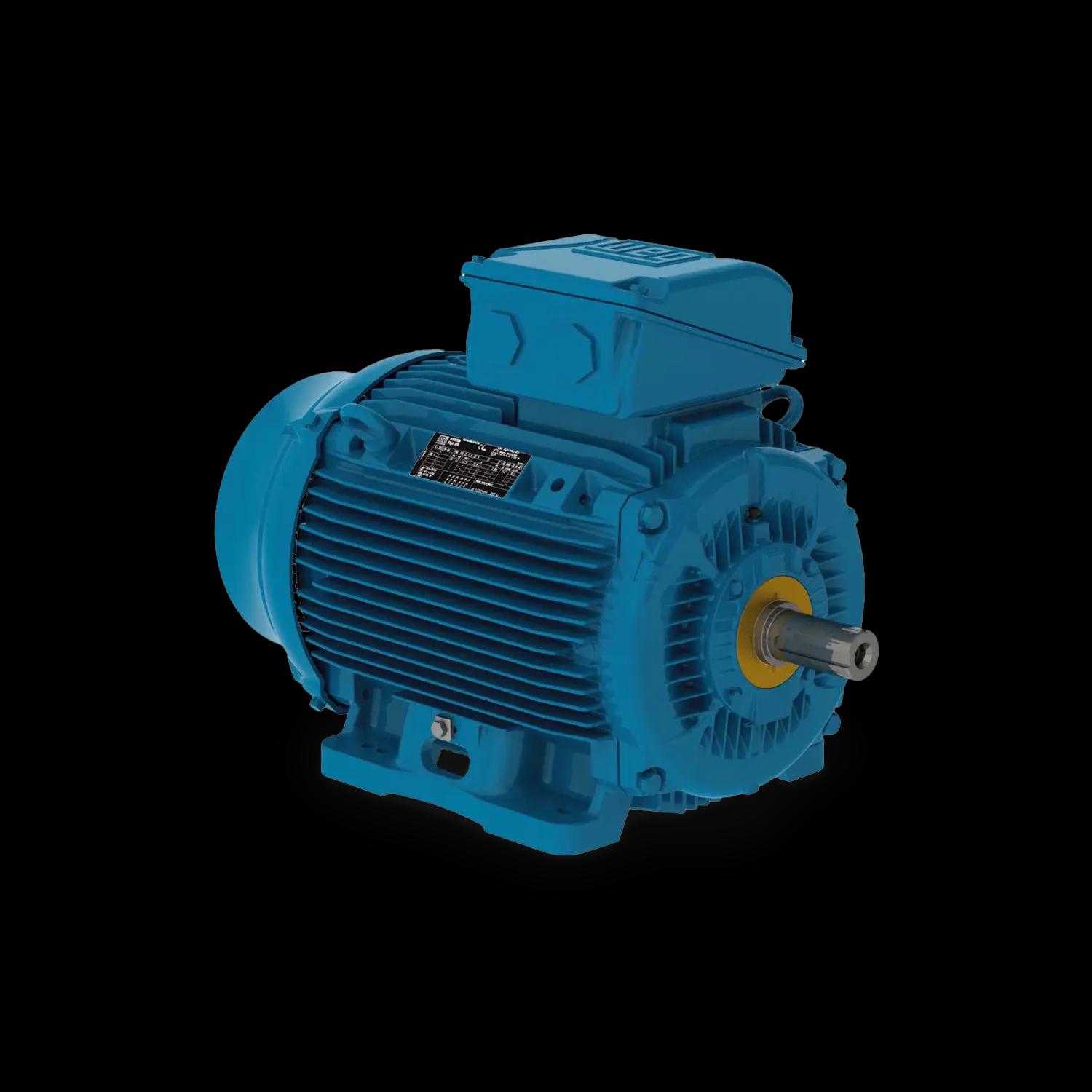 Motore trifase antideflagrante W22Xtb – Zona 21 per polveri combustibili