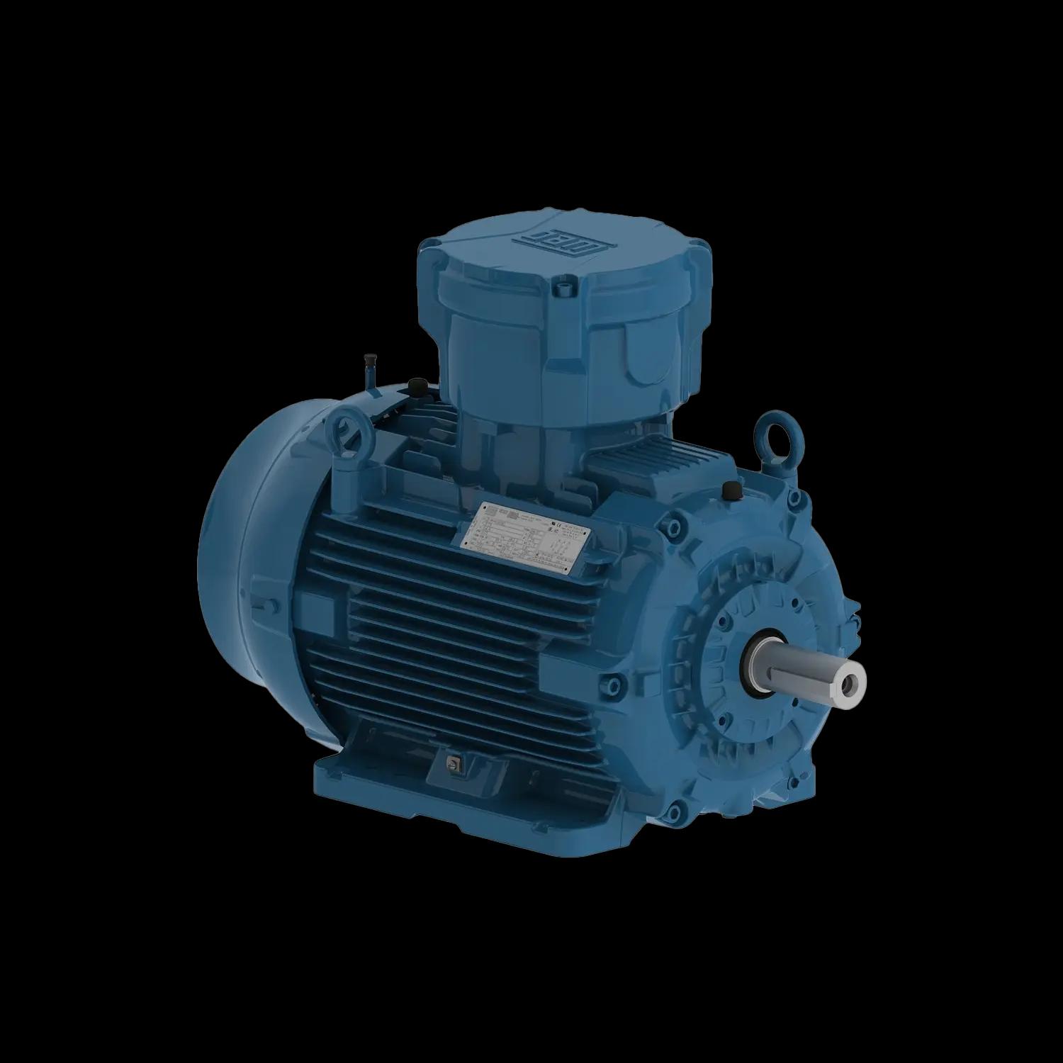 Motore antideflagrante W22Xdb Ex db IIB T4 – Zone 1 e 2