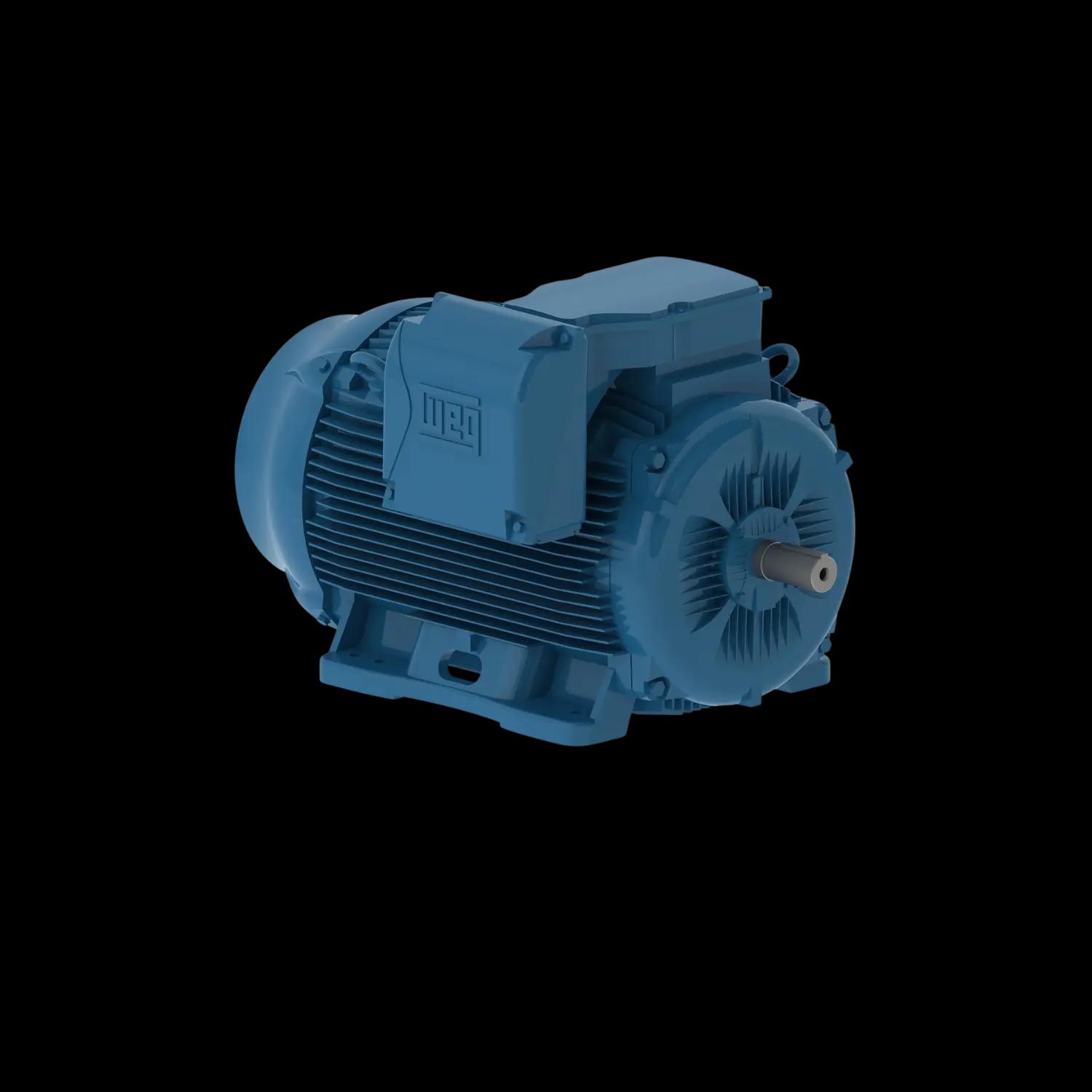 Motori in ghisa W22 speciali